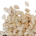 Seed Good Selling Quality Dried Seed And Kernels Watermelon Seed Kernel Crop Hot Sale On Line