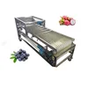 /product-detail/fruit-and-vegetable-peaches-tomato-grader-dragon-fruit-grading-machine-60830722404.html