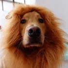 Wholesale OEM Manufacturer Pet Wig Lion Mane Costume For Small Large Dogs Festival Party Fancy Hair Dog Clothes