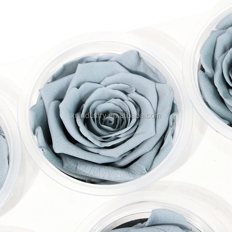 gifts & crafts  festive & party supplies  decorative flowers &