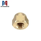 Brass Nut Brassnut DIN1587 Brass Hexagon Domed Nut M12