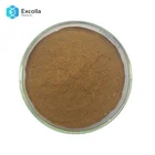 Vacuum Packed Powder Leaf Supply Powder Ginkgo Biloba Leaf Extract