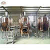 500L craft beer brewery plant machinery for brewpub restaurant microbrewery with sound after sales service