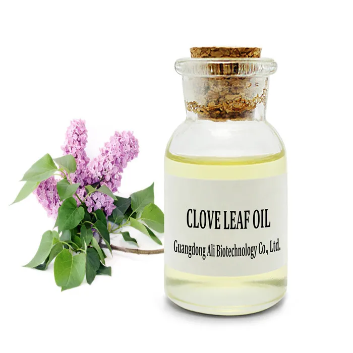 clove oil from india (only for international market)