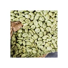 Beans Yunnan Arabica Green Coffee Beans With Best Prices