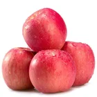 popular chinese luochuan fuji apple size