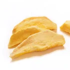 TTN Wholesale Exporter East Freeze Dried Mango With Mango Price