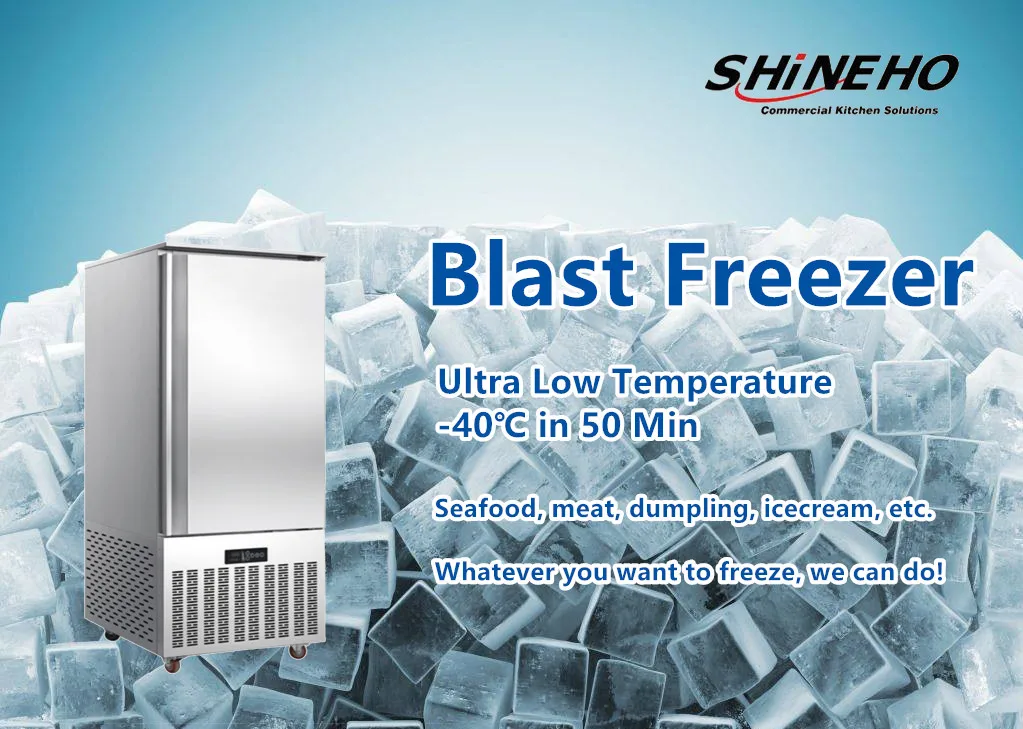 Blast Freezer, 500kg, 220V, 0.75KW - detail 2