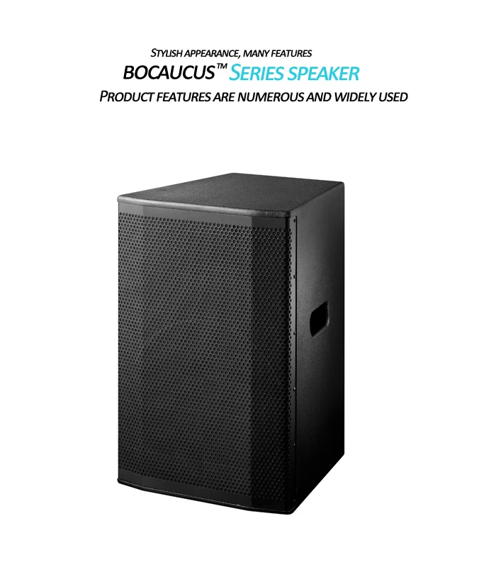 Bocaucus high quantity 15 inch subwoofer speaker OEM PA sound system professional plywood cabinet speaker box - ANKUX.COM