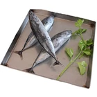 Cooked Tuna Price Frozen Fresh Bonito Fish