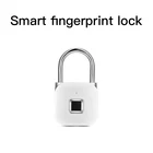 Electronic Lock Mini Waterproof Electronic Lock Padlock Fingerprint Lock China