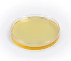 Free sample 100% natual peppermint oil pure