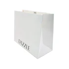 Nice Design Paper Shopping Bag , Recycle / Environmental Luxury Shopping Paper Bag , Raw Material Gift Kraft Paper Bag
