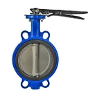 Butterfly Valve Wafer Type Stainless Steel ANSI Double Wafer WCB Metal Seated Triple Eccentric Valves Butterfly