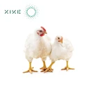 Feed Grade Granular NSP Enzyme Xylanase