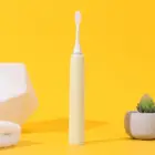 Operated Oem Odm Battery Operated Rechargeable Sonic 2020 Whitening Ipx7 Electric Toothbrush