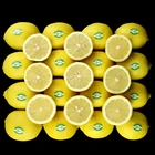 Fruit High Quality Water Content Level A Yellow Lemon Fruit