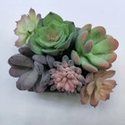 Simulation succulents tropical plants small green plants simulation succulents ornaments potted DIY micro landscape flowers