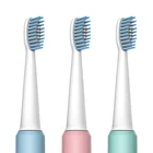 Toothbrush 2019 New Best Selling Battery Powered Adult Electronic Toothbrush