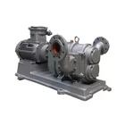 Government cooperation experience 250m Pumping Head Three Rotary Lobe Rotor Pump for Industrial transfer pump