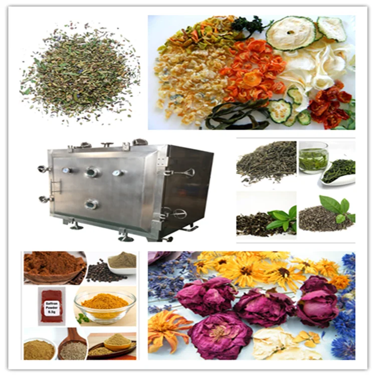 Commercial square vacuum tray drying machine for Tea leaves Saffron Mushrooms