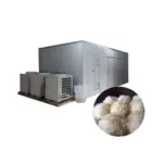 Industrial Use Hot Air Oven for Tremella, Fungus, Mushroom Dryer Cabinet