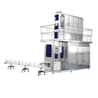 guava banana peach pineapple mango juice paper box packaging machine