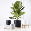 High quality matt glazed ceramic cylinder succulent planter flower pots with wood plant stand