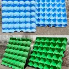 Dyes Color Egg Tray Dyes Color Egg Cartongs Dyes For Red Rose Blue Yellow Paper