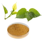 Wholesale Price White Mulberry leaf Extract Powder Dried Mulberry Leaf Powder