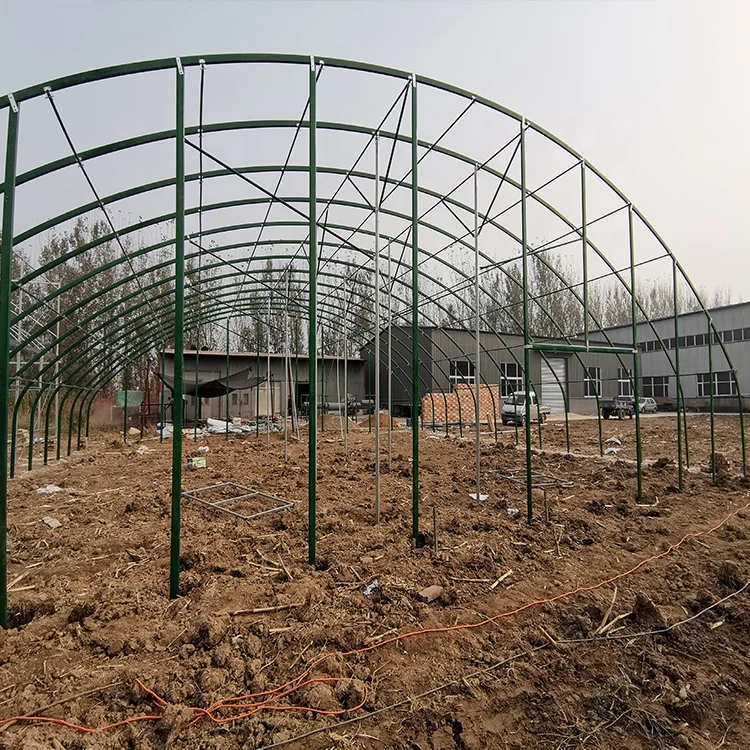 Galvanized Material Frame Single Span Arch Tunnel Greenhouse Buy