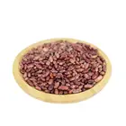 Non-gmo Nature Organic Dried Competitive Price light red kidney bean