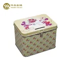 factory direct sale rectangle metal tin box tin coin bank