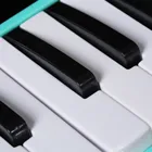 27 key melodica music keyboard instrument in plastic case