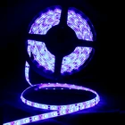Rgb 5050 Rgb Led Strip Light R/G/B/Y/W/RGB 3014/5050/3528 SMD LED Option Cheap LED Rgb Led Strip Light