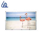 55 inch 2500 nits outdoor sunlight readable LCD panel