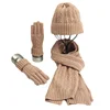 Wholesale Acrylic Cable Knitted Knit Scarf Beanie Hat And Gloves Set
