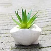 Z773 White shell conch thumb Flower Pot Succulents Home Office Desktop Decor Mini Flower Pot