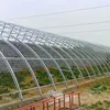Agriculture Soilless Pro Hydroponic Plant Fodder Forage Growing greenhouse