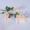 Pink Roses Astilbe Creating A True sense Of Beauty And Grace