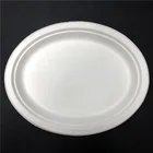 10 inch sugarcane bagasse pulp plate disposable oval plate compostable party plates tableware