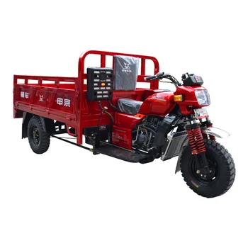 cargo motor tricycle