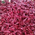 newest dried red hot chili pepper for sale