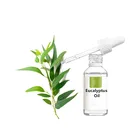 Eucalyptus Oil Bulk MSDS Certification Essential Oil Stimulate Immunity And Cosmetics Manufacturer
