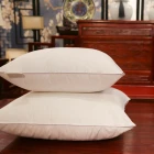 Premium Wholesale Head Luxury PP cotton White soft Pillows Inserts for sleeping