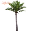 /product-detail/6m-height-artificial-mid-east-date-palm-tree-for-hall-street-club-decoration-62113308505.html