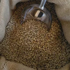Arabica green coffee yunnan 14, 16, 18 eyes raw coffee beans