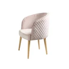 Accent Living Room Armchair Velvet Dining Chair Style Side Chair with Rubber Wood Legs Modern Chair