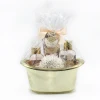 Beautiful popular rose bath promotion gift set