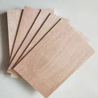 4x8 plywood cheap plywood sheet 3mm 5mm poplar/basswood shutter birch plywood for crafting
